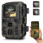20MP Full HD | Vision Nocturne 20M | IP65 Étanche-Caméras de Chasse 4G