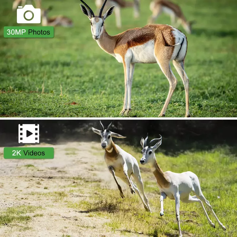 Kit complet de la caméra de chasse 4G avec lecteur de carte SD