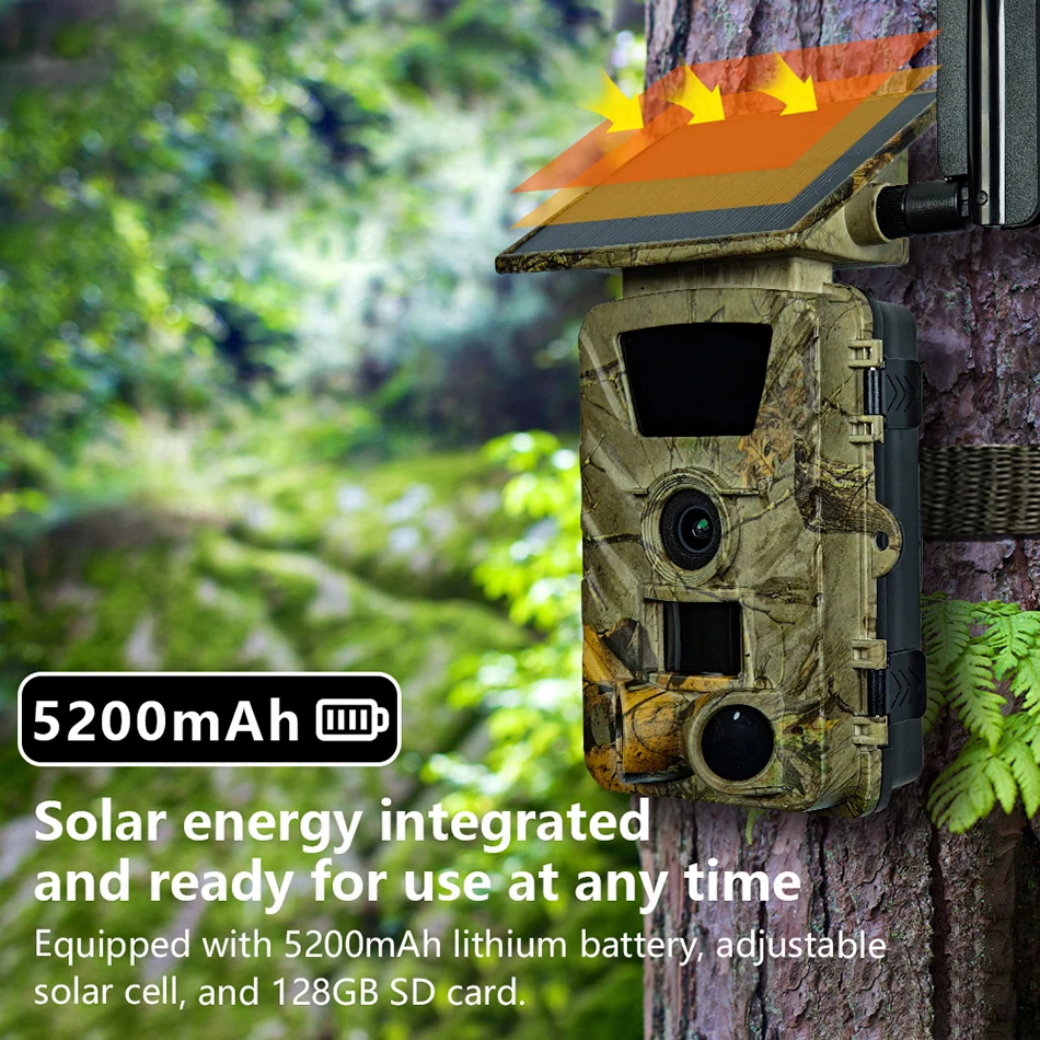 Caméra de chasse solaire NaturaTrack 5K installée sur un arbre, se fondant dans le décor