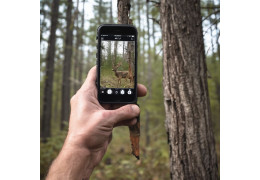 Résistance extrême : Le rapport de nos tests de durabilité en forêt
